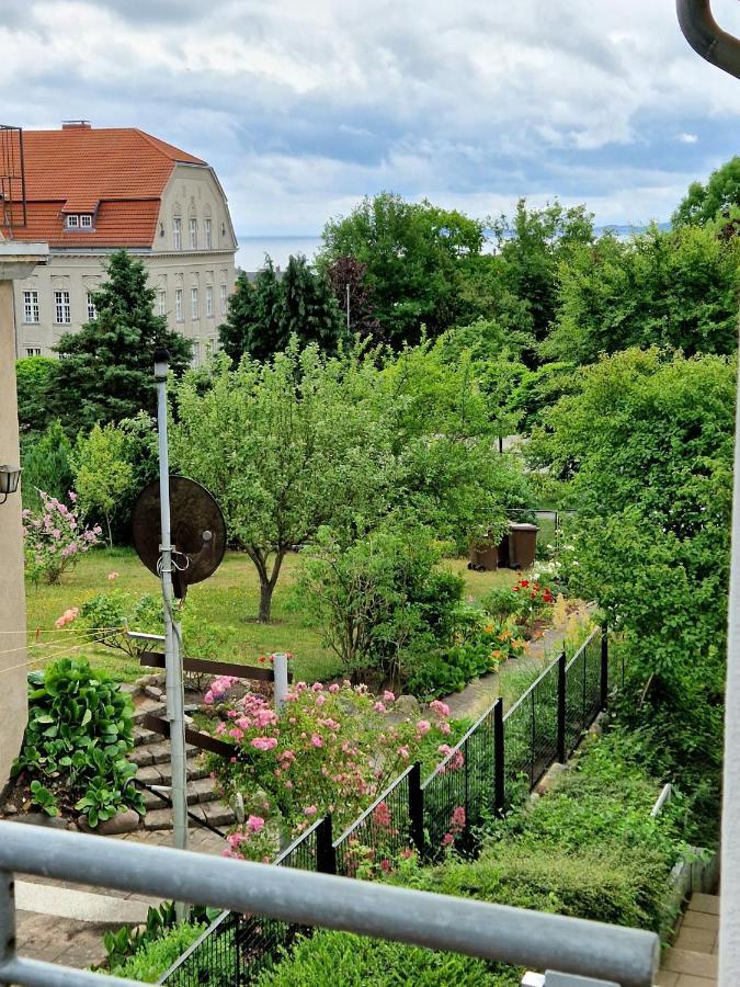 Ferienwohnung Treibholz Засниц Экстерьер фото